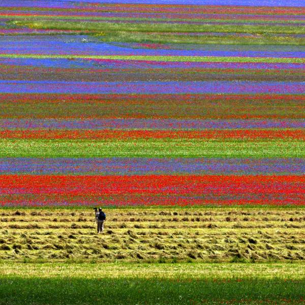 Photograph Della Latta Massimo  Umbria 2013 on One Eyeland